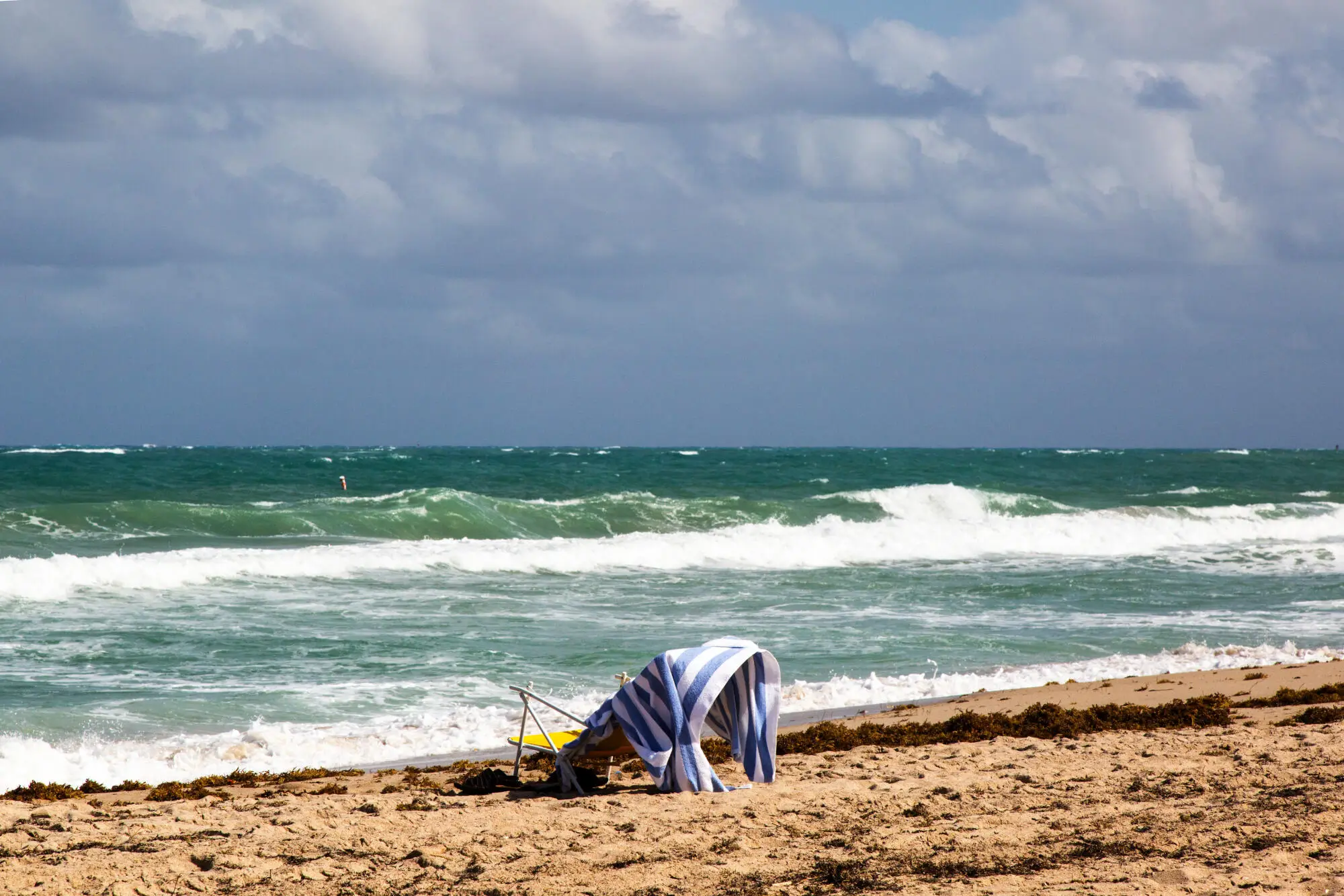 Top 5 Benefits of Association Management Groups in Fort Lauderdale