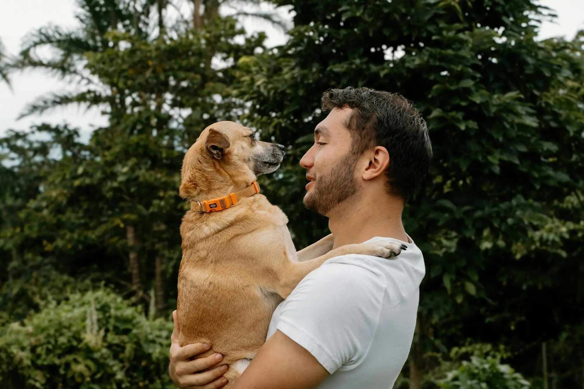 Pros and Cons of Allowing Pets in your Rental Property